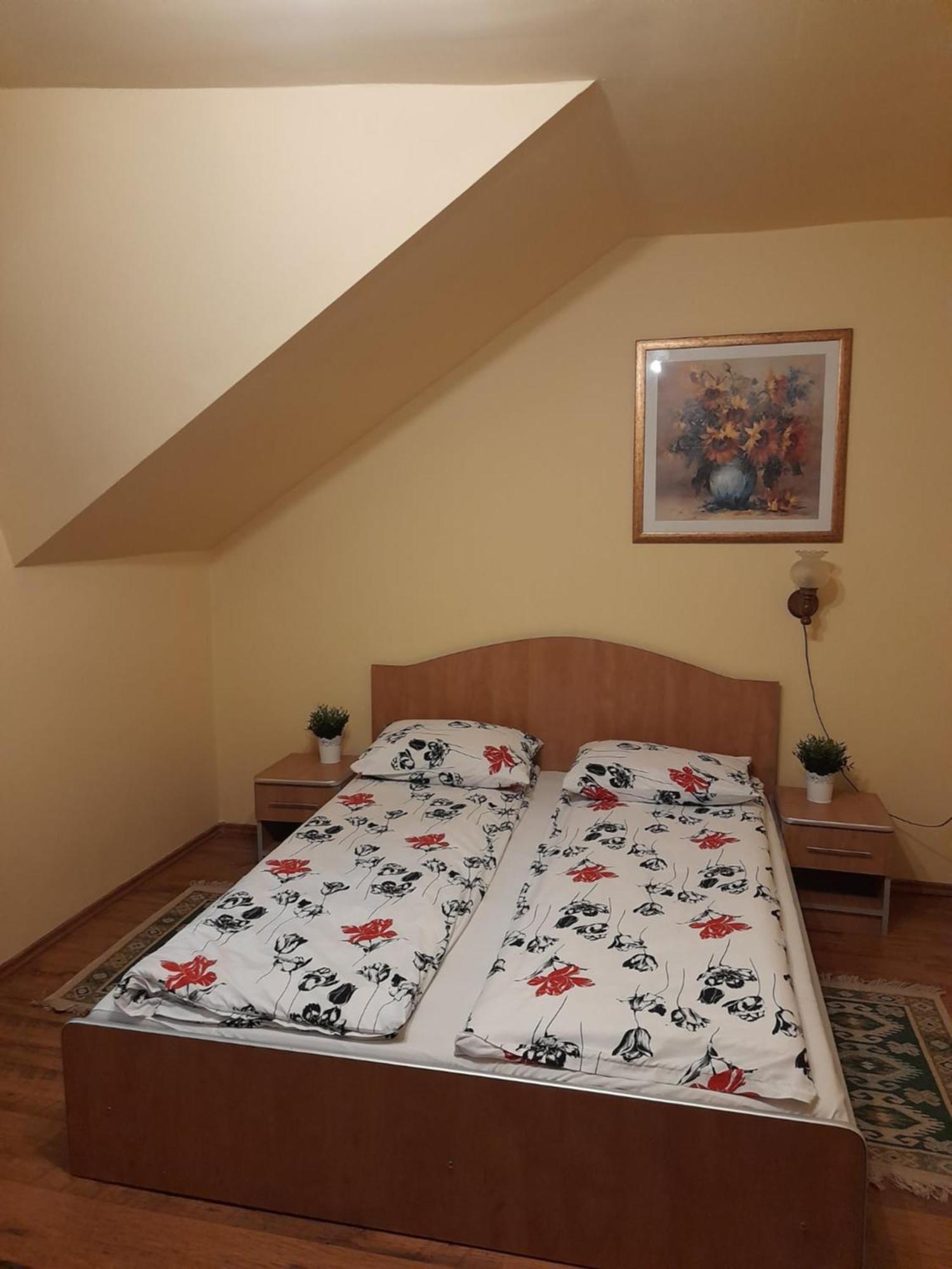 Panzio Anett Bed & Breakfast Pietroasa  Dış mekan fotoğraf