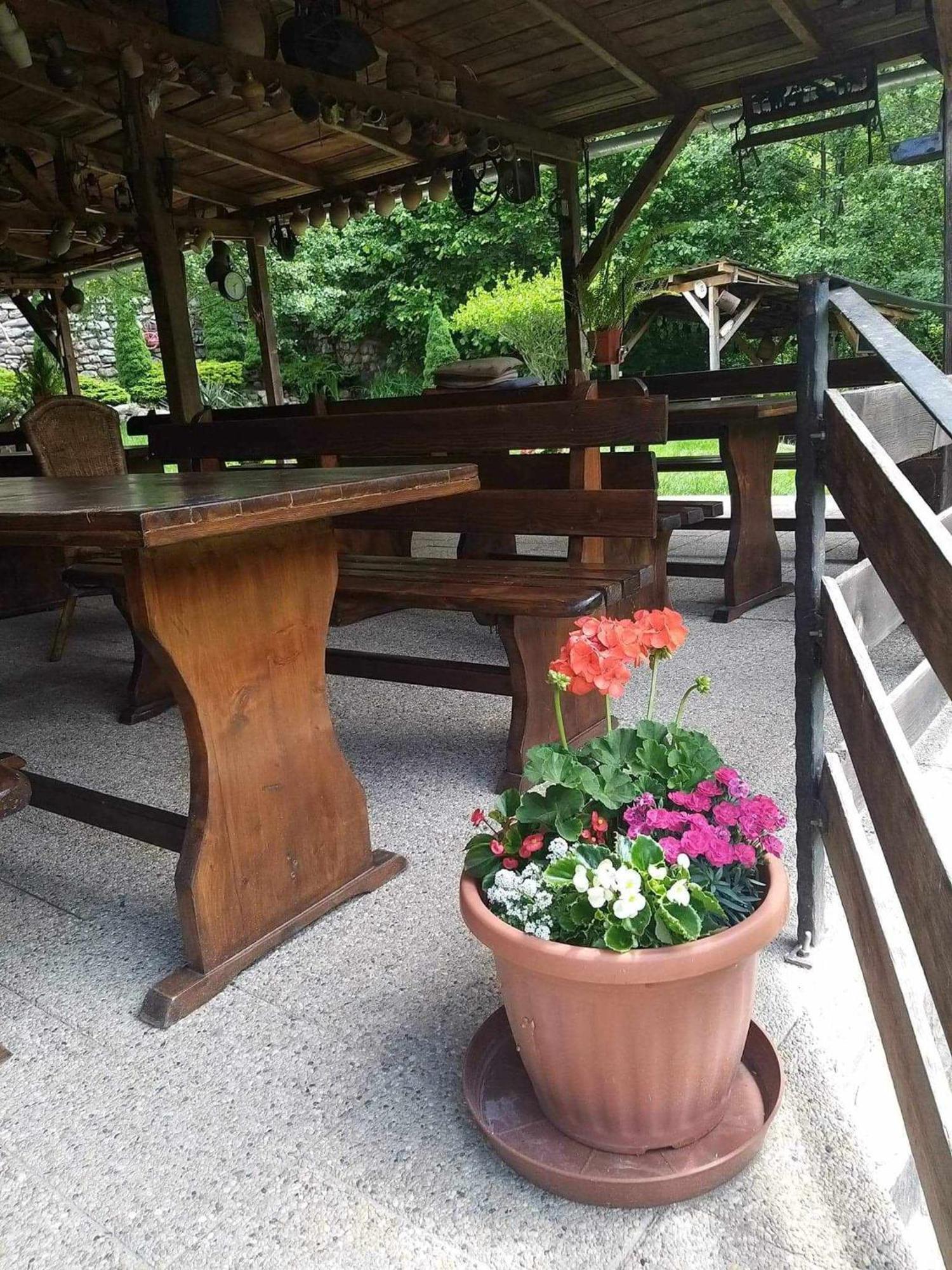 Panzio Anett Bed & Breakfast Pietroasa  Dış mekan fotoğraf