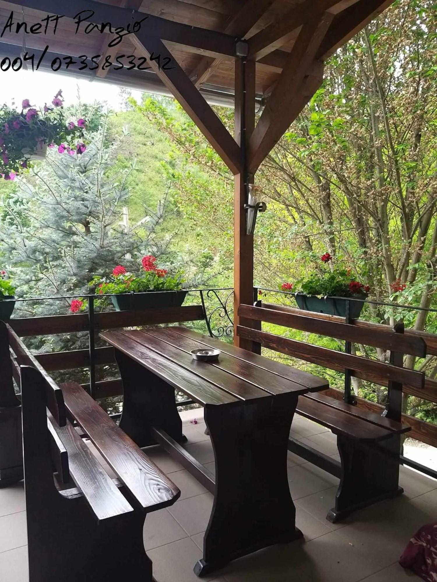 Panzio Anett Bed & Breakfast Pietroasa  Dış mekan fotoğraf
